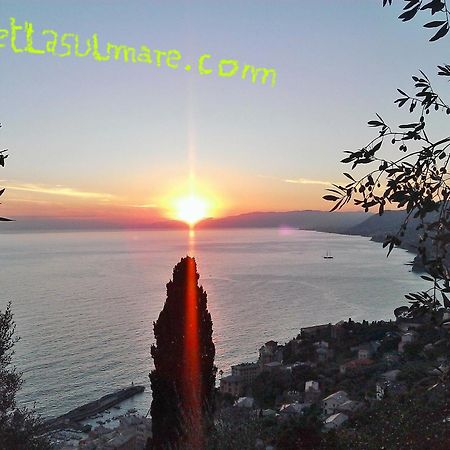 Villetta Sul Mare Камогли Екстериор снимка
