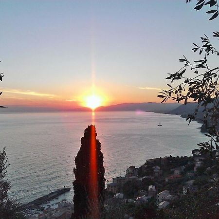 Villetta Sul Mare Камогли Екстериор снимка